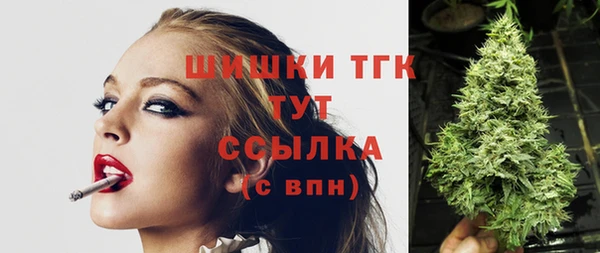 эйфоретик Михайлов