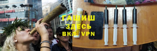 индика Михайловка