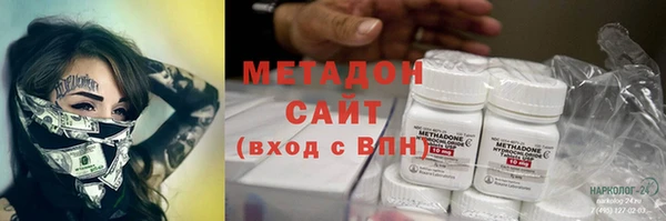 индика Михайловка