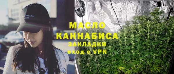 индика Михайловка