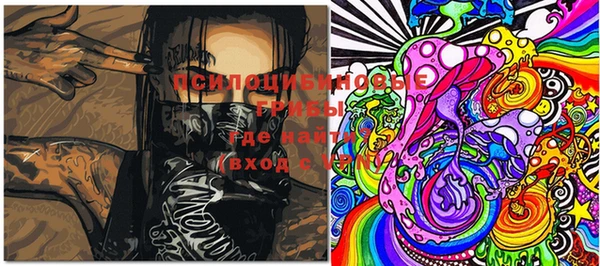 индика Михайловка