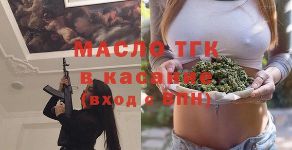 индика Михайловка