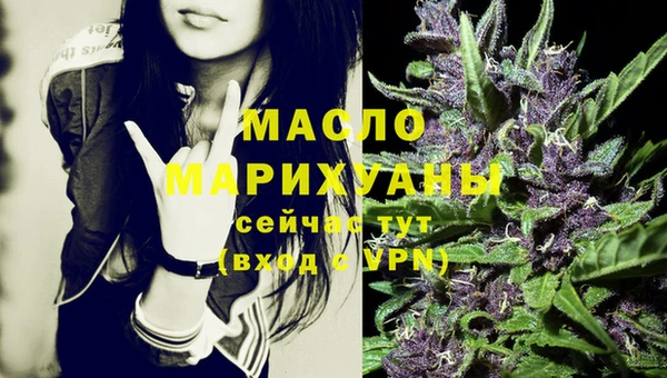 индика Михайловка