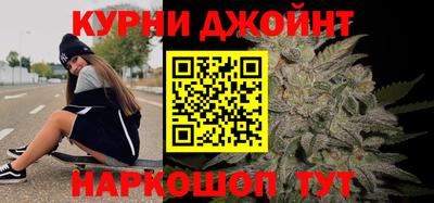 индика Заводоуковск
