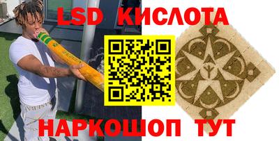 индика Заводоуковск