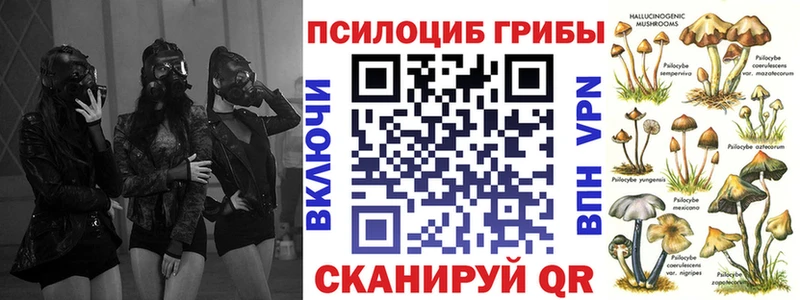 МЕГА tor где купить наркоту Похвистнево Галлюциногенные грибы Cubensis