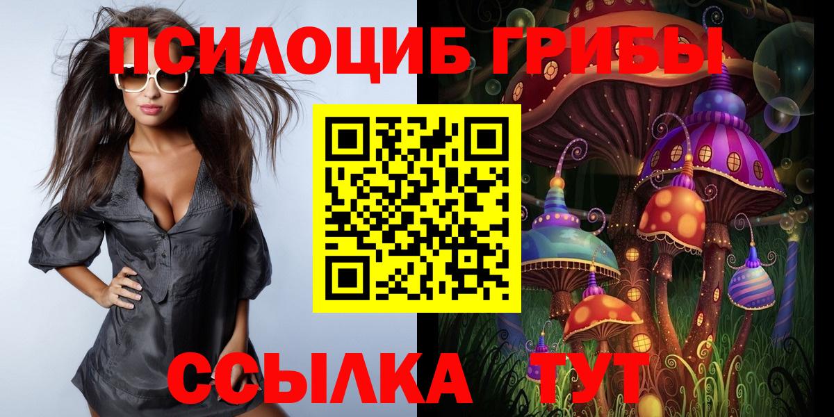 Похвистнево  Галлюциногенные грибы Psilocybine cubensis  Вход с VPN 